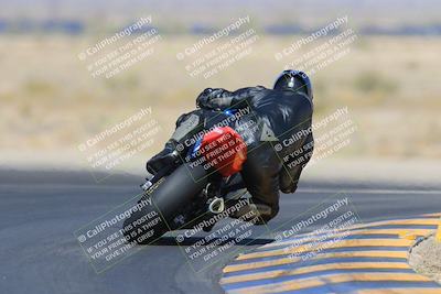 media/May-13-2023-SoCal Trackdays (Sat) [[8a473a8fd1]]/Turn 11 Backside (945am)/